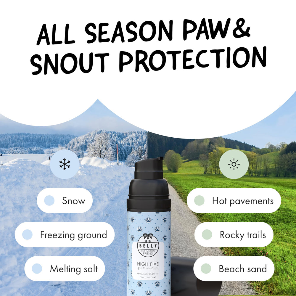 Dog in snow scene with Belly Snout & Paw Cream offering winter protection
