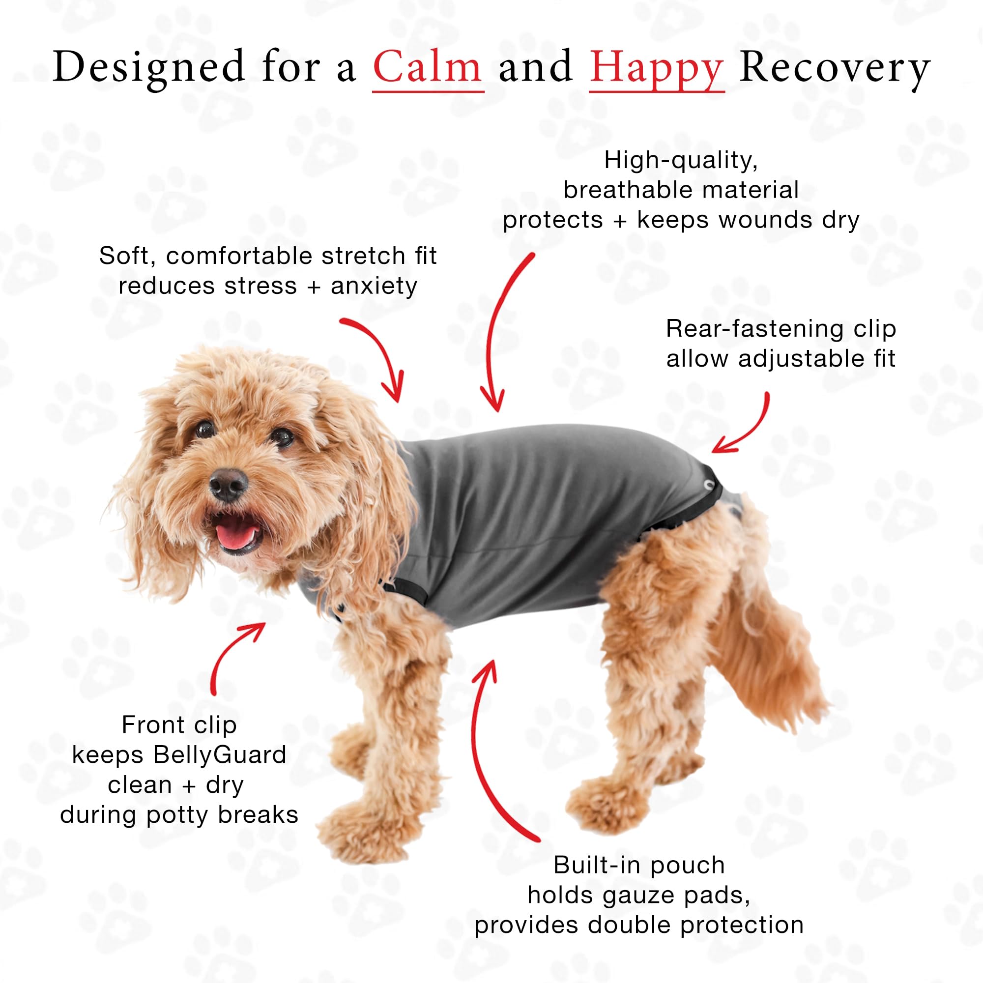 BellyGuard dog-surgery-recovery-suit easy-closure demonstrates head-pullover design and rear snap