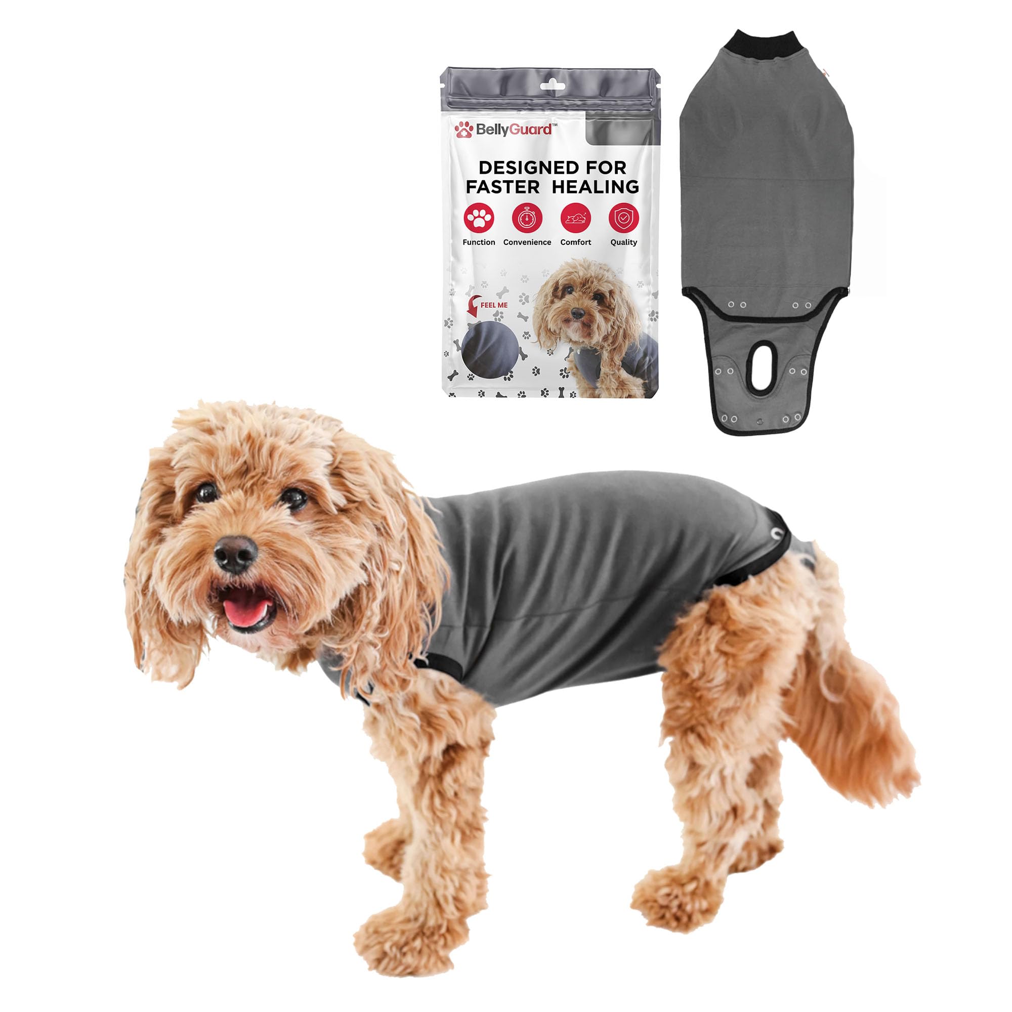 BellyGuard dog recovery suit front view for comfortable post-op wear