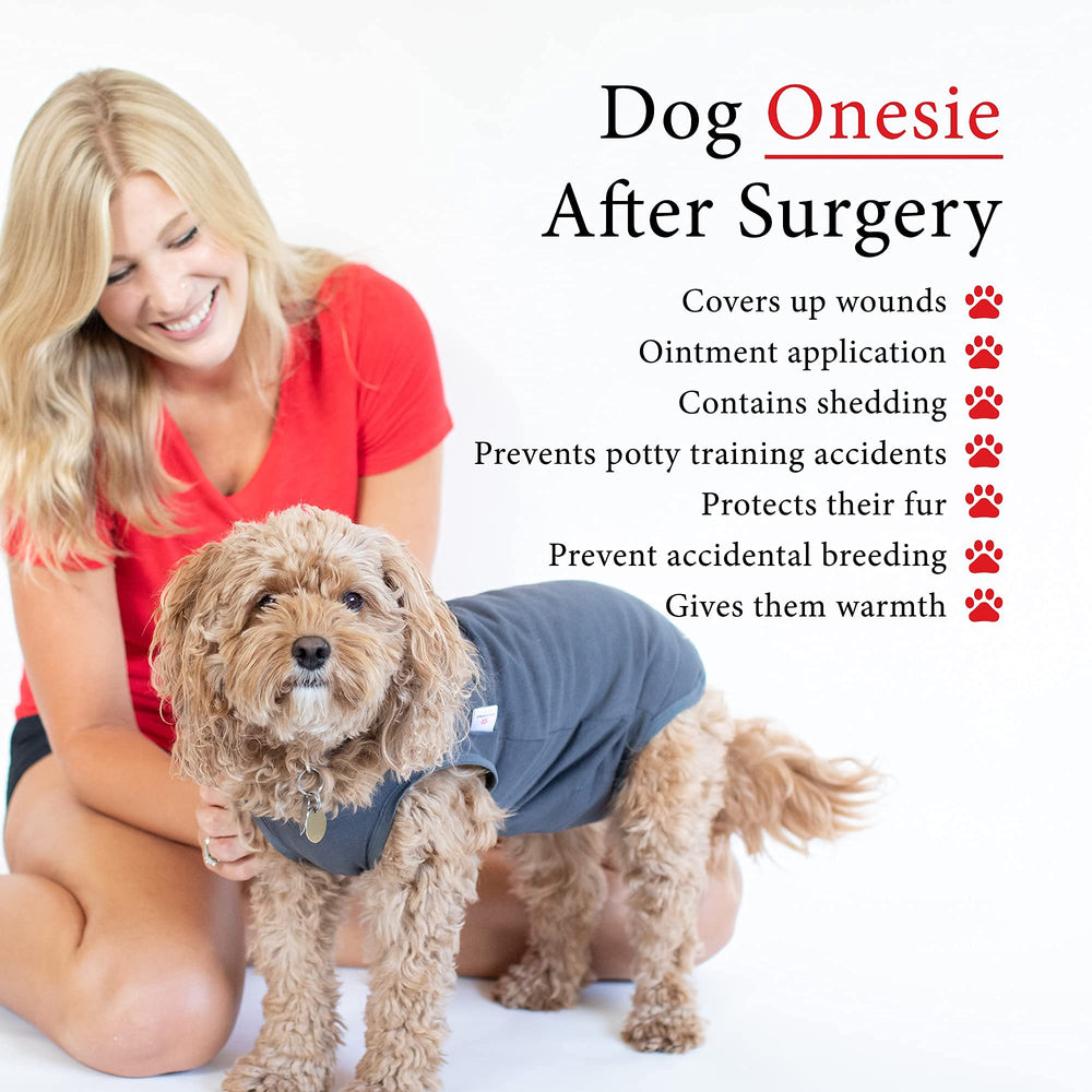 BellyGuard dog-surgery-recovery-suit wound-cover view emphasizes incision protection and paw room