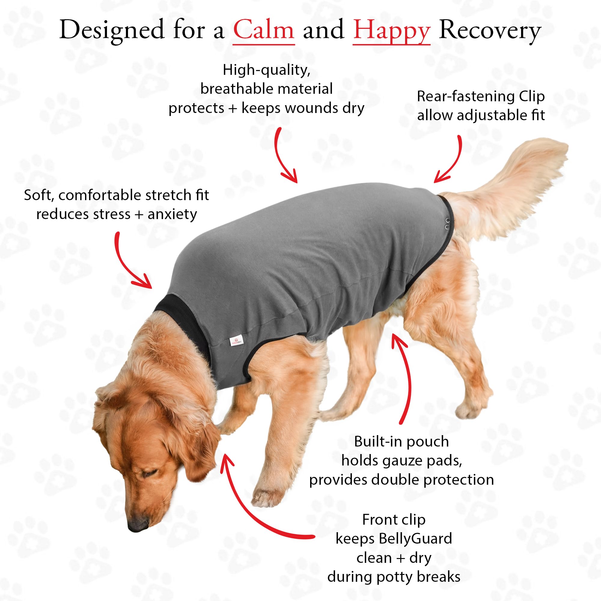 BellyGuard post-op-suit easy-dress-overhead enables simple fits for dogs.