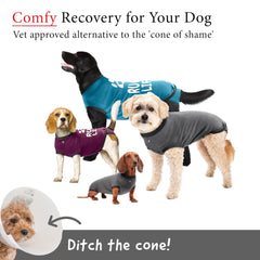 BellyGuard recovery suit front-closure demonstrates secure, easy-overhead changes.