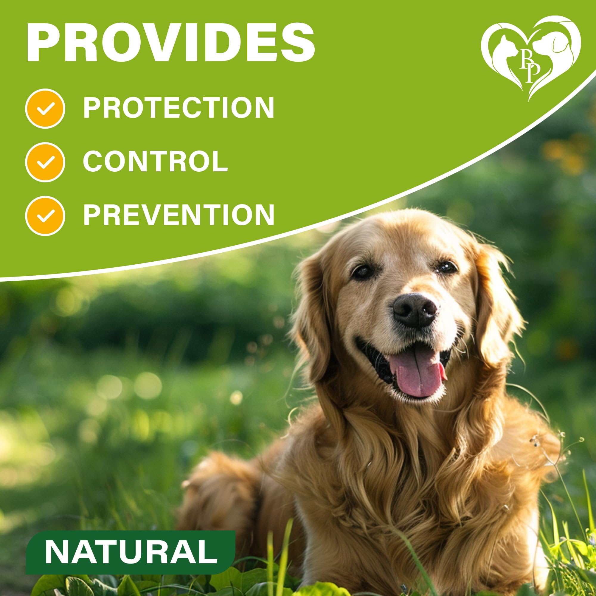 6-month protection badge on Beloved Pets dog collar for extended defense.