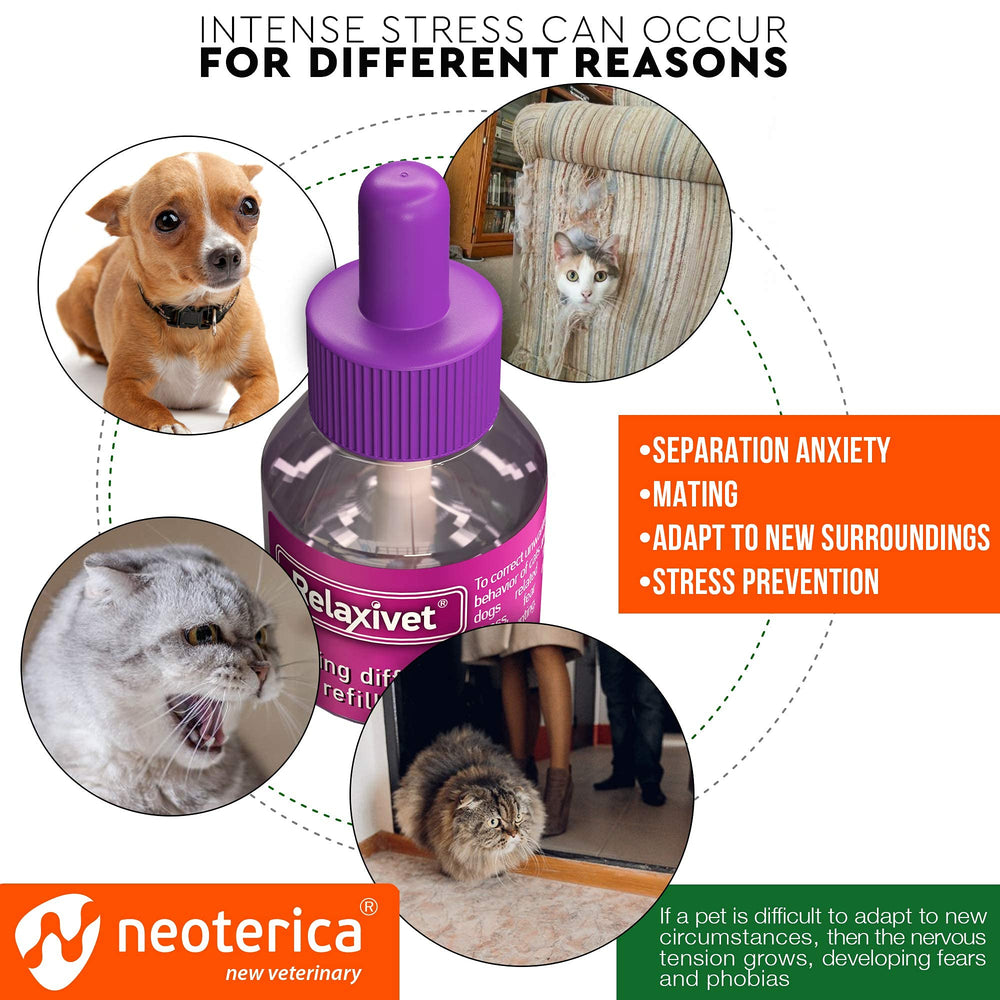 Beloved Pets anti-anxiety pheromone jar for stress relief without medications.