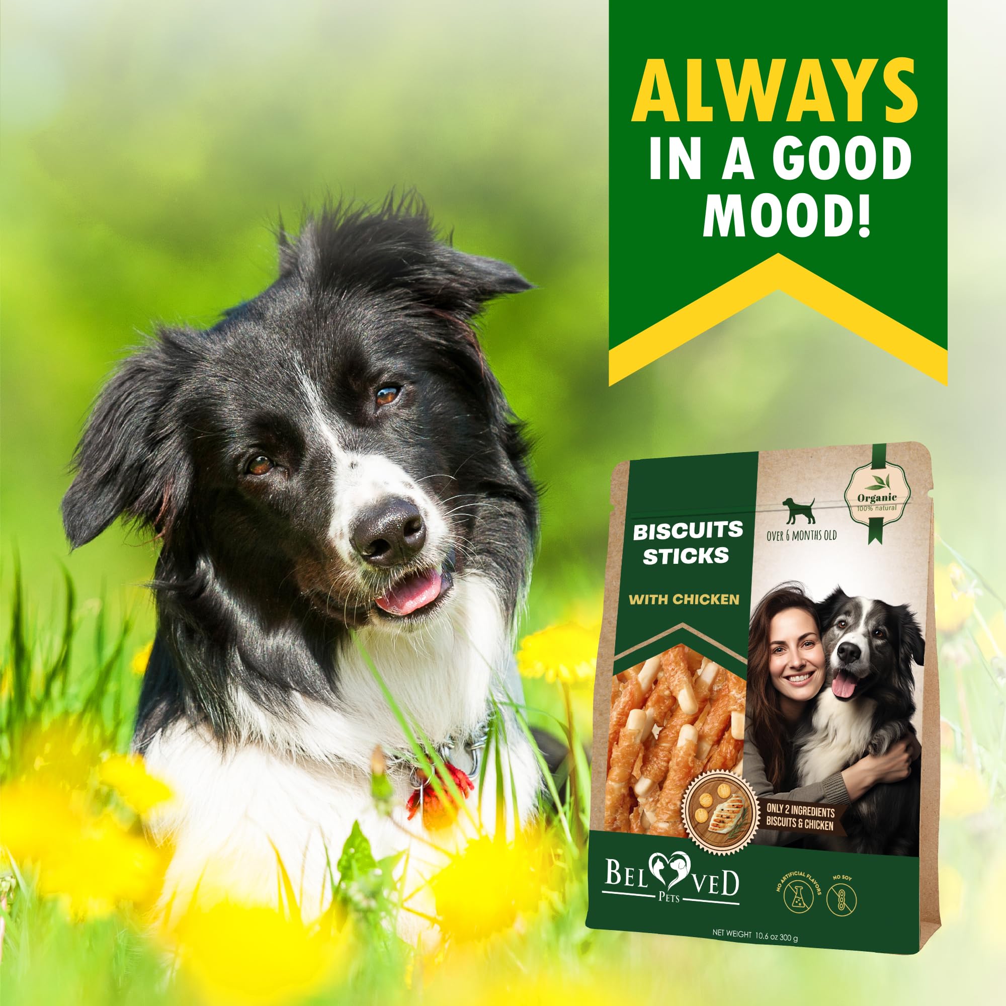 Beloved Pets biscuit-stick protein-rich-chicken emphasizes high-protein reward