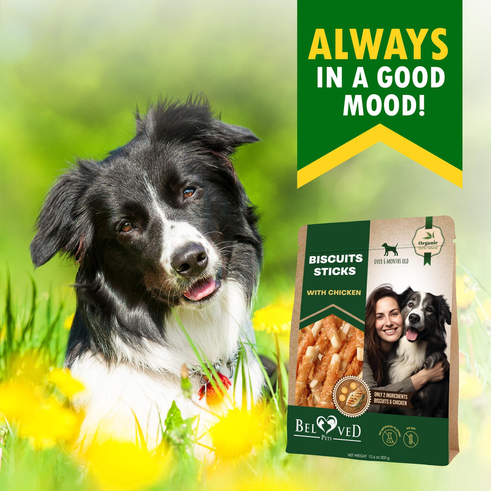 Beloved Pets biscuit-stick protein-rich-chicken emphasizes high-protein reward