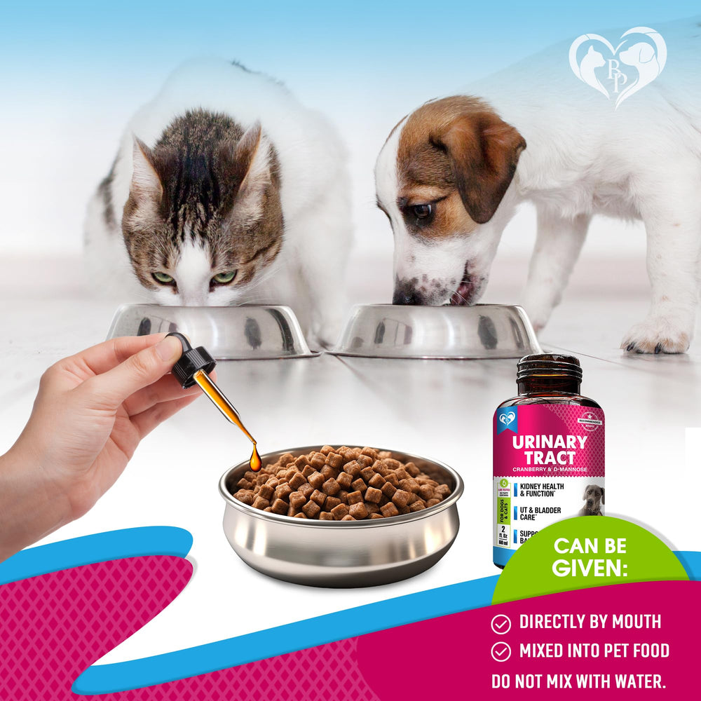 Beloved Pets bottle label closeup — clear branding and simple usage directions.