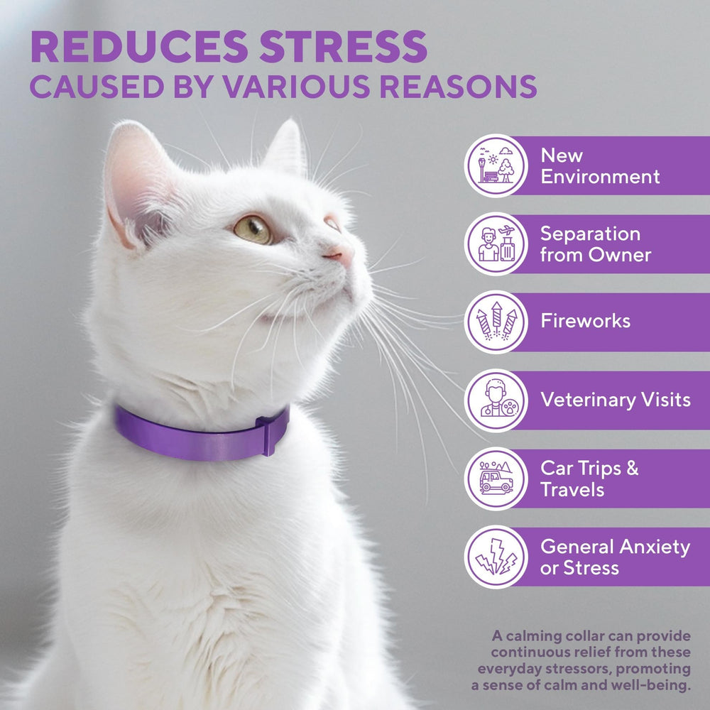 Beloved Pets calming collar packaging highlights drug-free, pheromone-based calm for felines.