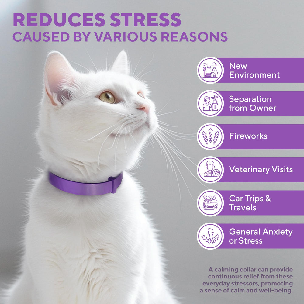 Beloved Pets cat calming collar packaging highlights vet-recommended calm relief.