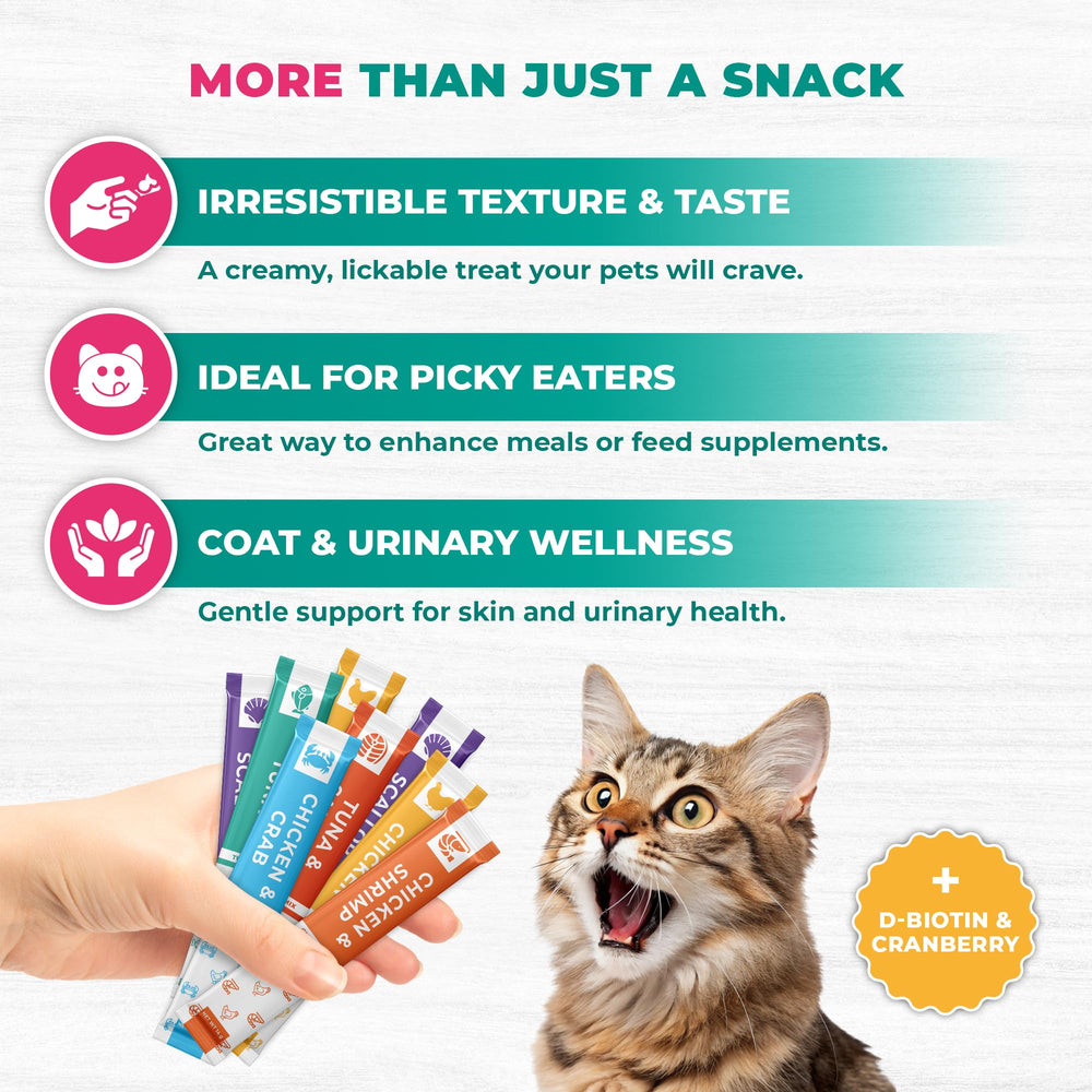 Beloved Pets cat licking creamy paste showing savory flavors and lickable appeal