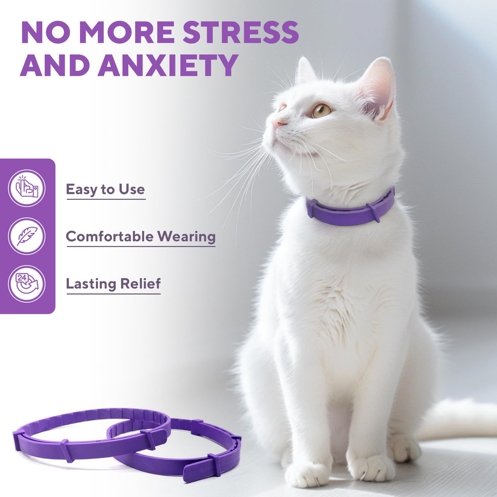 Beloved Pets cat urine-marking reduction with ongoing collar use.