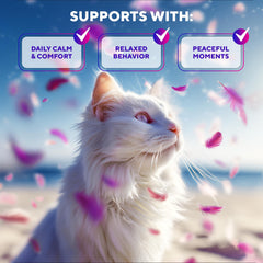 Beloved Pets cats scratch-proof area demonstrates reduced furniture scratching.