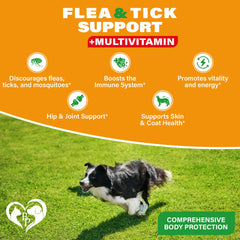 Beloved Pets chew treats portion shows weight-based dosing for dogs.