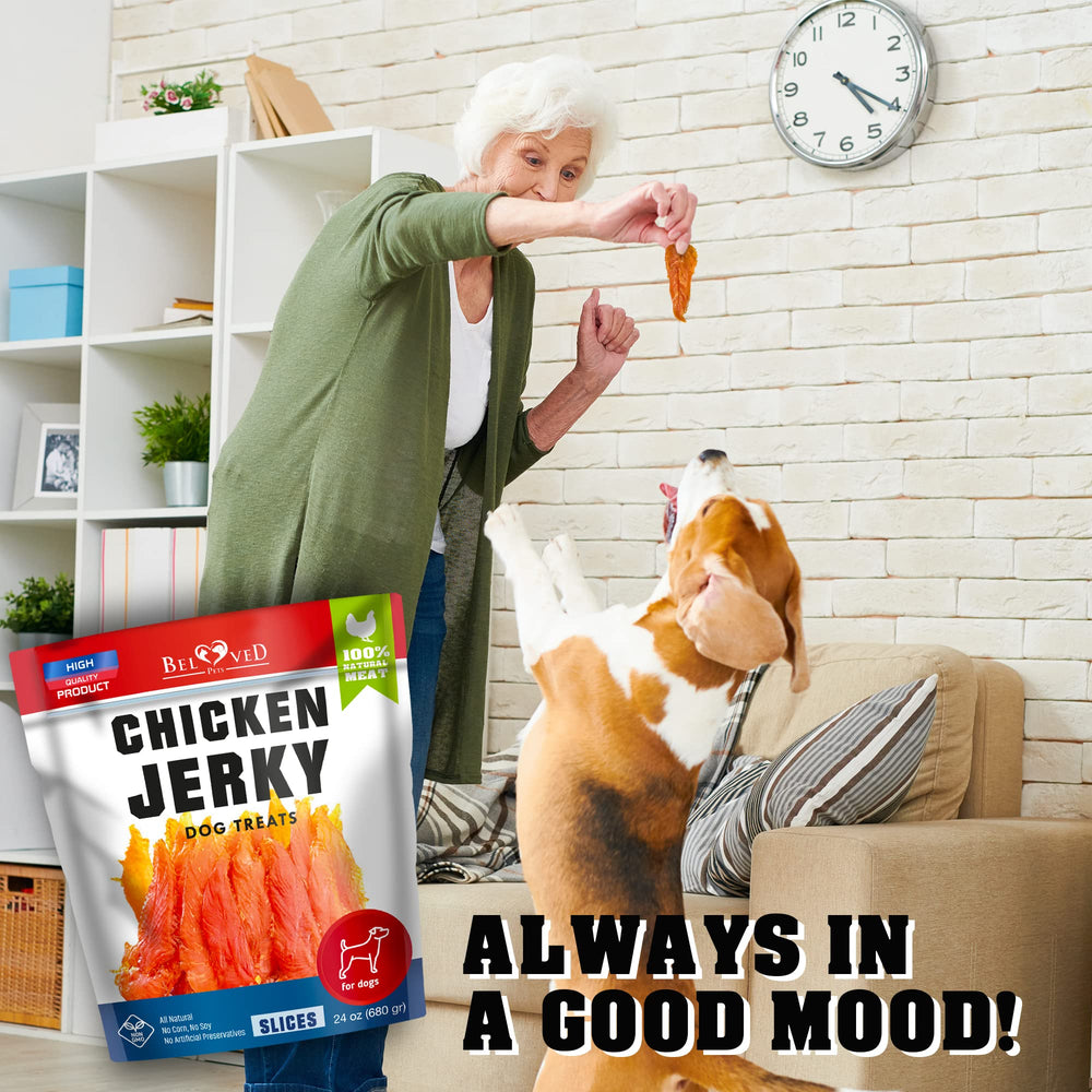 Beloved Pets Chicken Jerky daily-snack close-up for consistent training use
