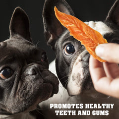 Beloved Pets Chicken Jerky dog chews close-up with chewy texture