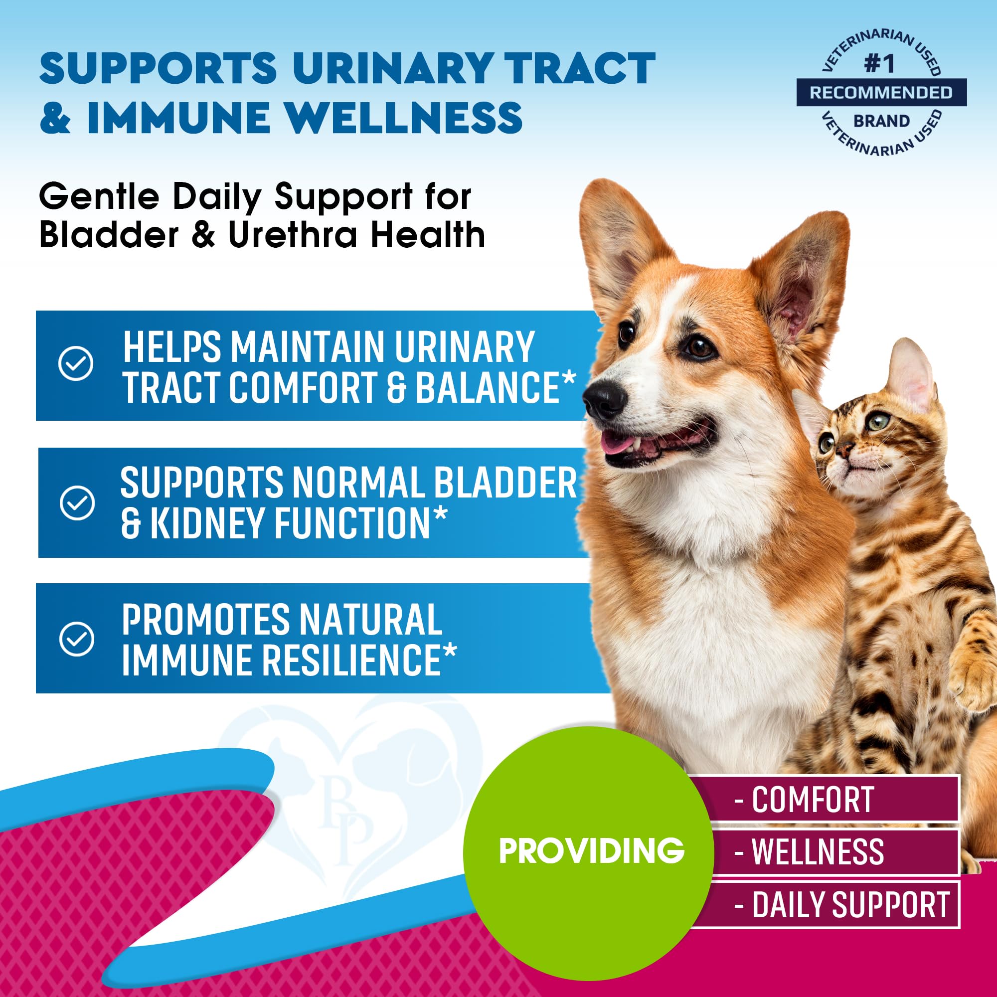 Beloved Pets cranberry-dmannose formula closeup supports urinary tract health with natural ingredients.