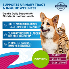 Beloved Pets cranberry-dmannose formula closeup supports urinary tract health with natural ingredients.