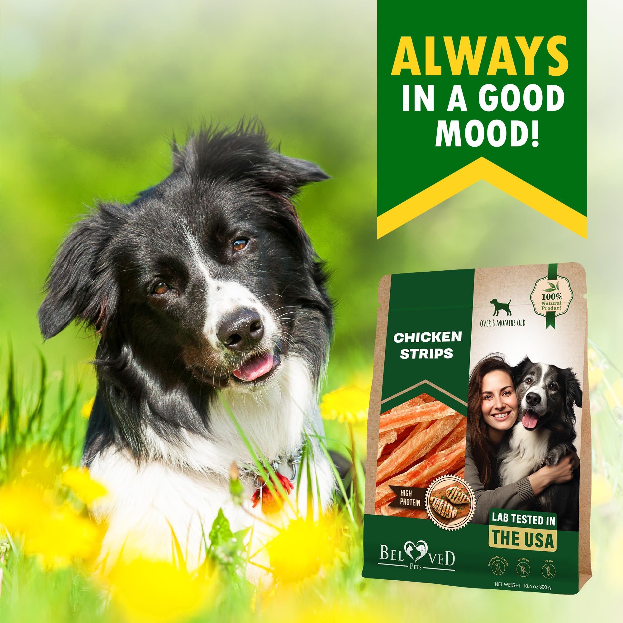 Beloved Pets USA-made image, human-grade ingredients emphasize quality and care.