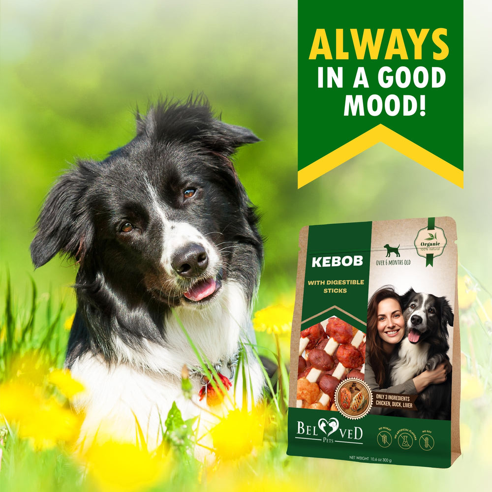 Beloved Pets long-lasting chew sticks for focused play sessions