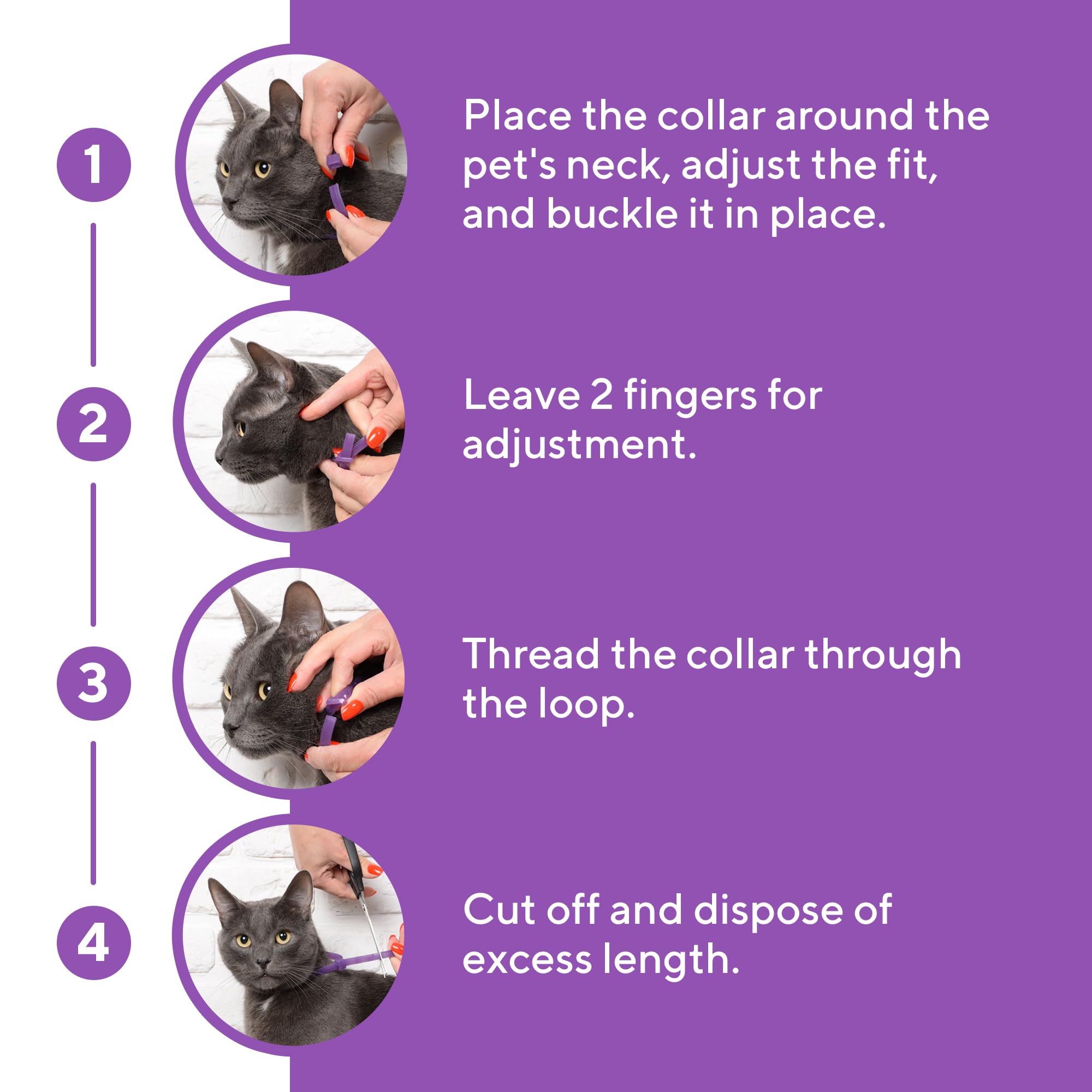 Beloved Pets durable collar material closeup supports long-term comfort.