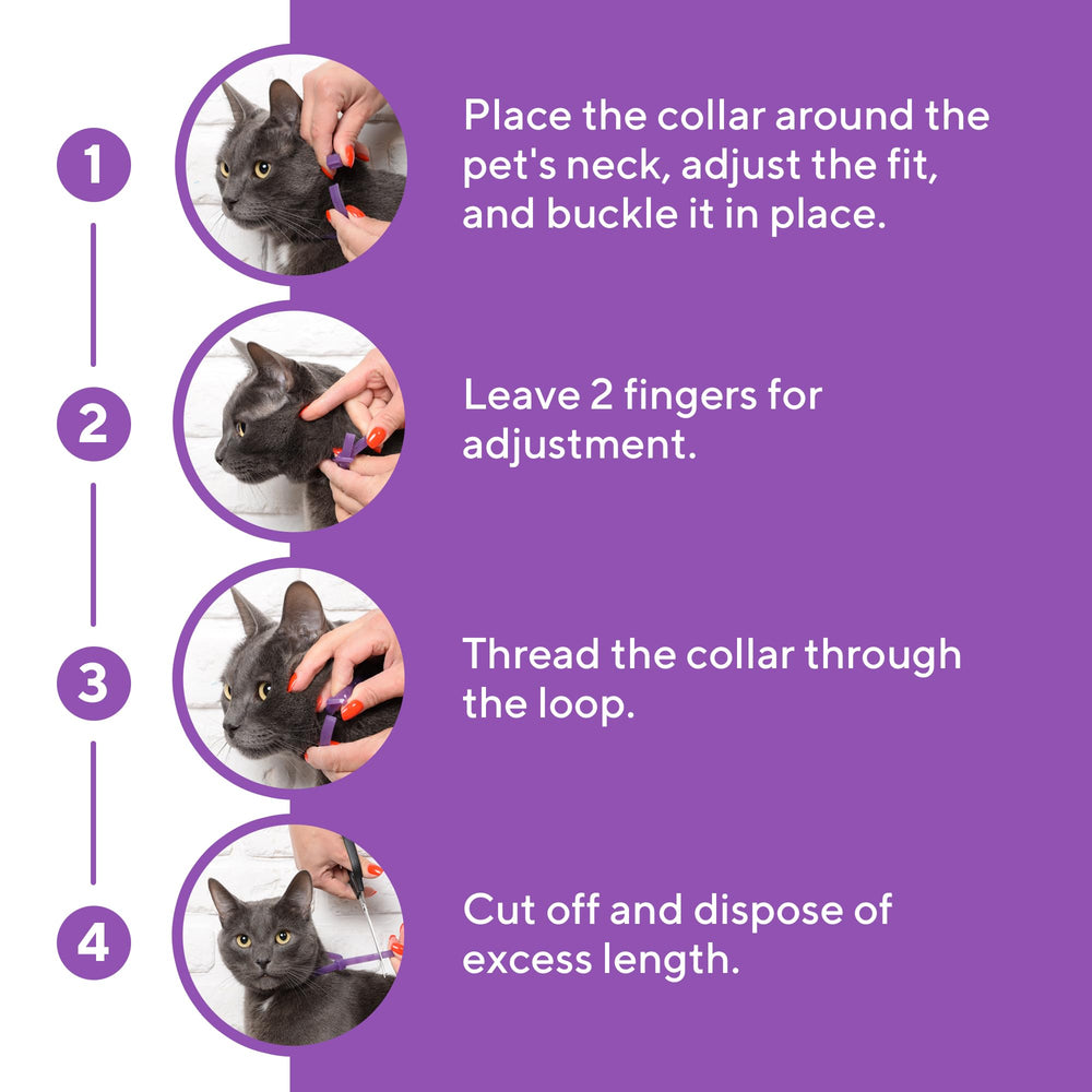 Beloved Pets durable collar material closeup supports long-term comfort.