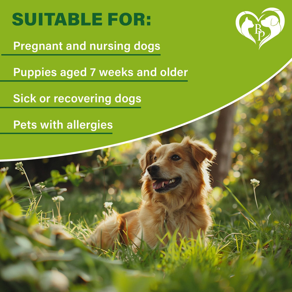 Easy-adjustment strap on Beloved Pets dog collar fits various sizes.