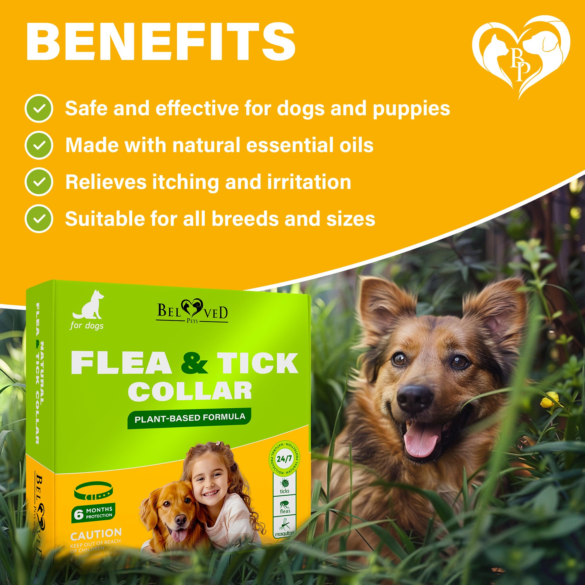 Close-up of the essential oil-repellent collar—Beloved Pets natural pest defense.