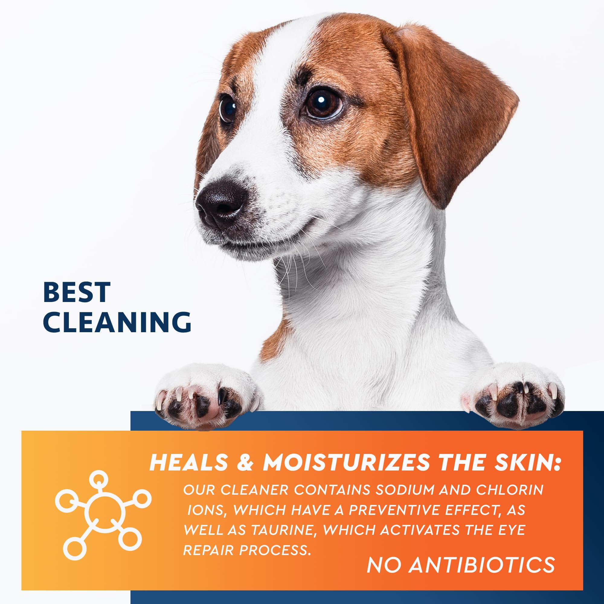 Beloved Pets weekly care illustration suggests easy routine