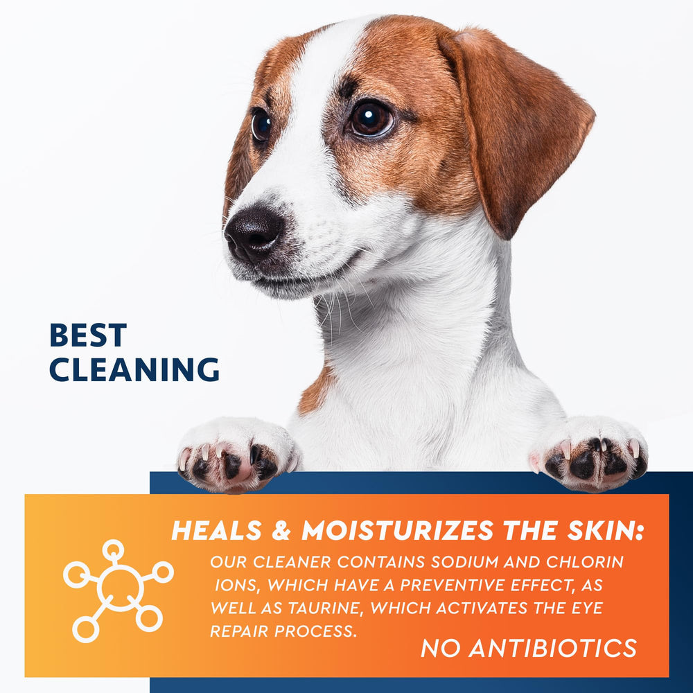 Beloved Pets weekly care illustration suggests easy routine