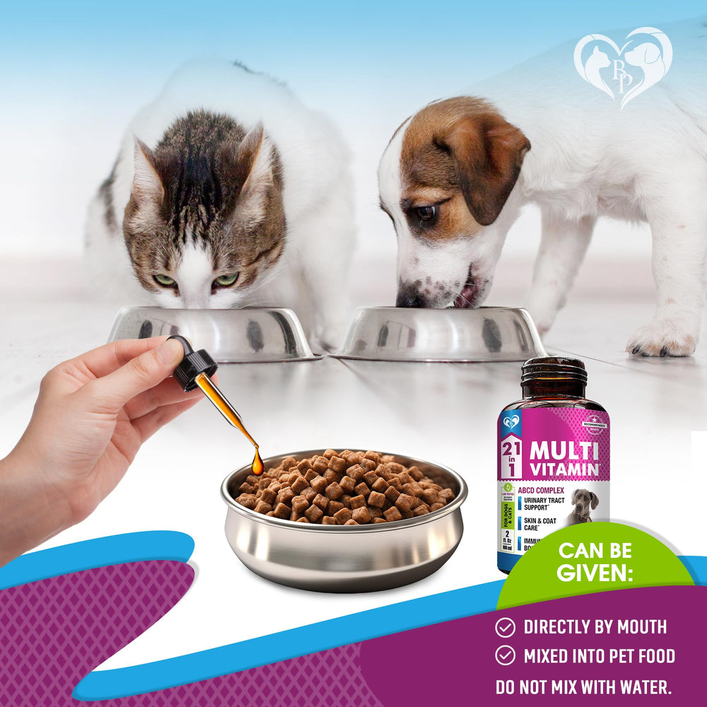Beloved Pets hip-joint-mobility liquid dropper promotes age-friendly movement.