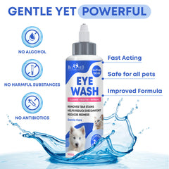 Beloved Pets kitten-eye-care image shows gentle care for discharge and irritated eyes.
