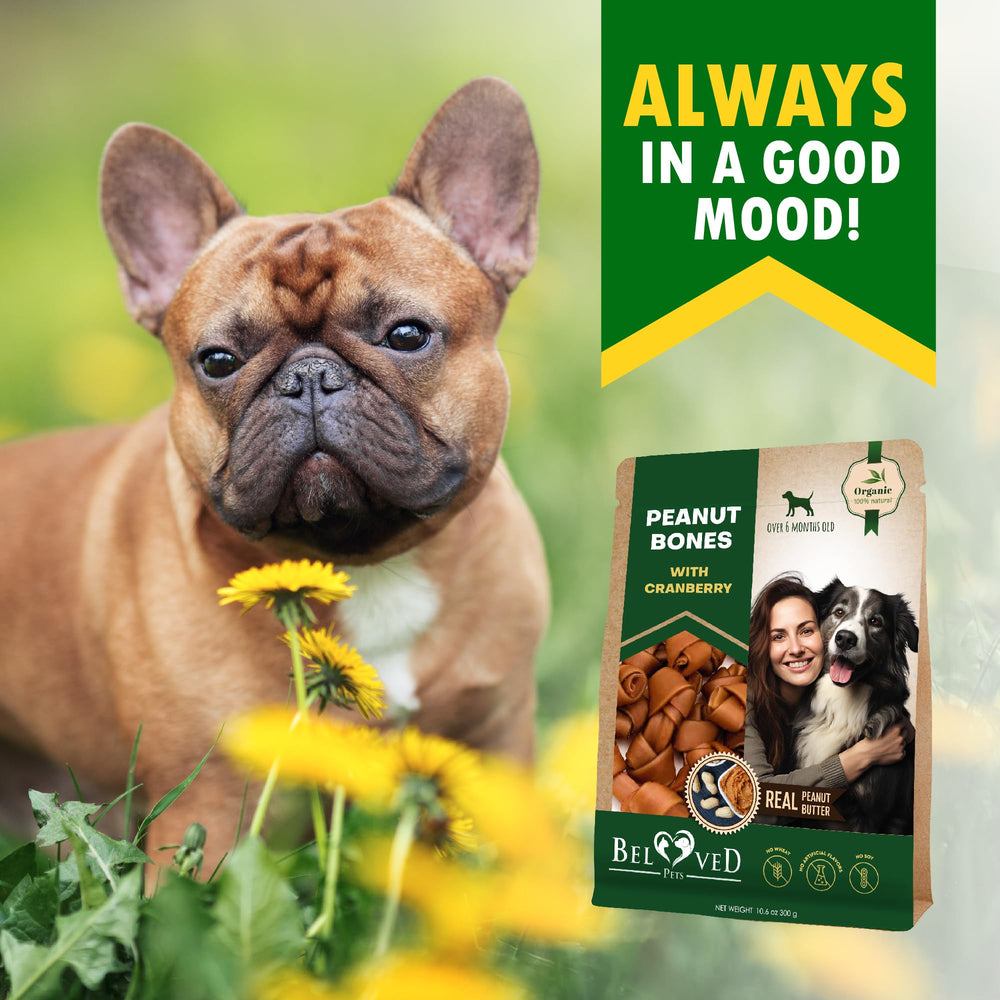 Beloved Pets made-in-usa dog treat image highlights quality production