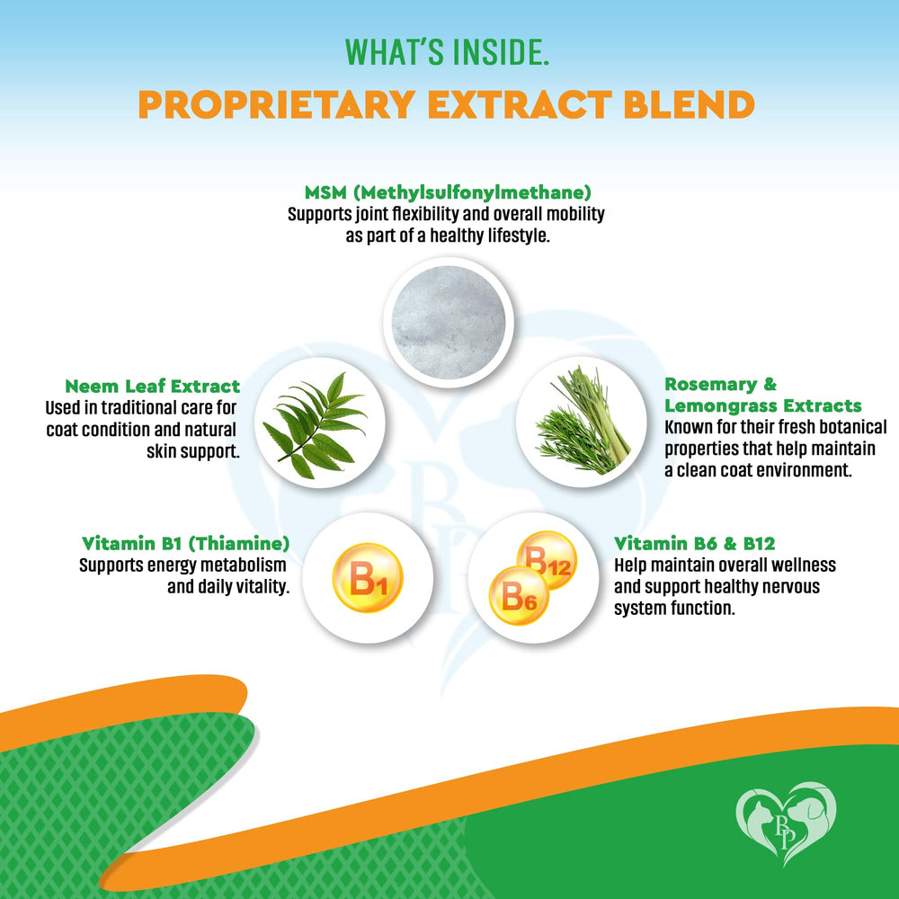 Beloved Pets Multivitamin Drops bottle with enzymes supporting joints and digestion.