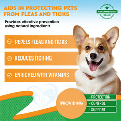 Beloved Pets Oral Drops being poured for easy, mess-free daily protection.