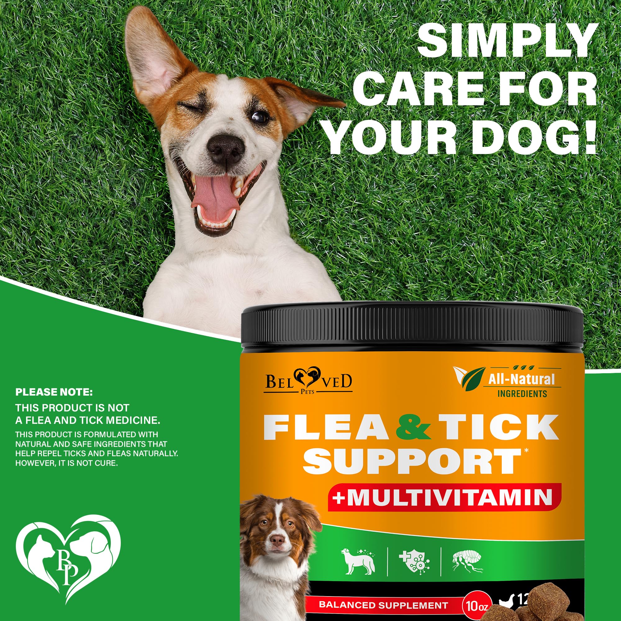 Beloved Pets packaging front view showcases all-in-one flea and tick prevention.