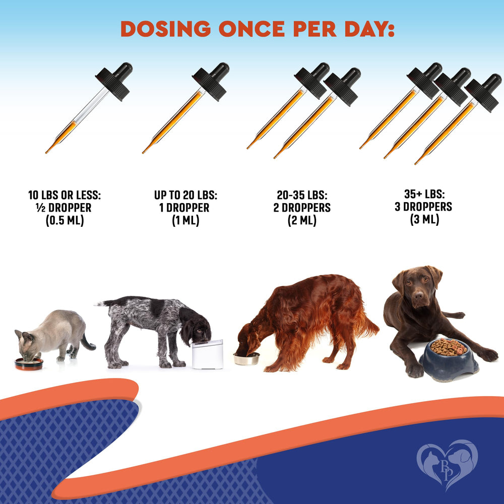 Beloved Pets enzyme-prebiotic ingredients image underscores gut-friendly blend for overall wellness.