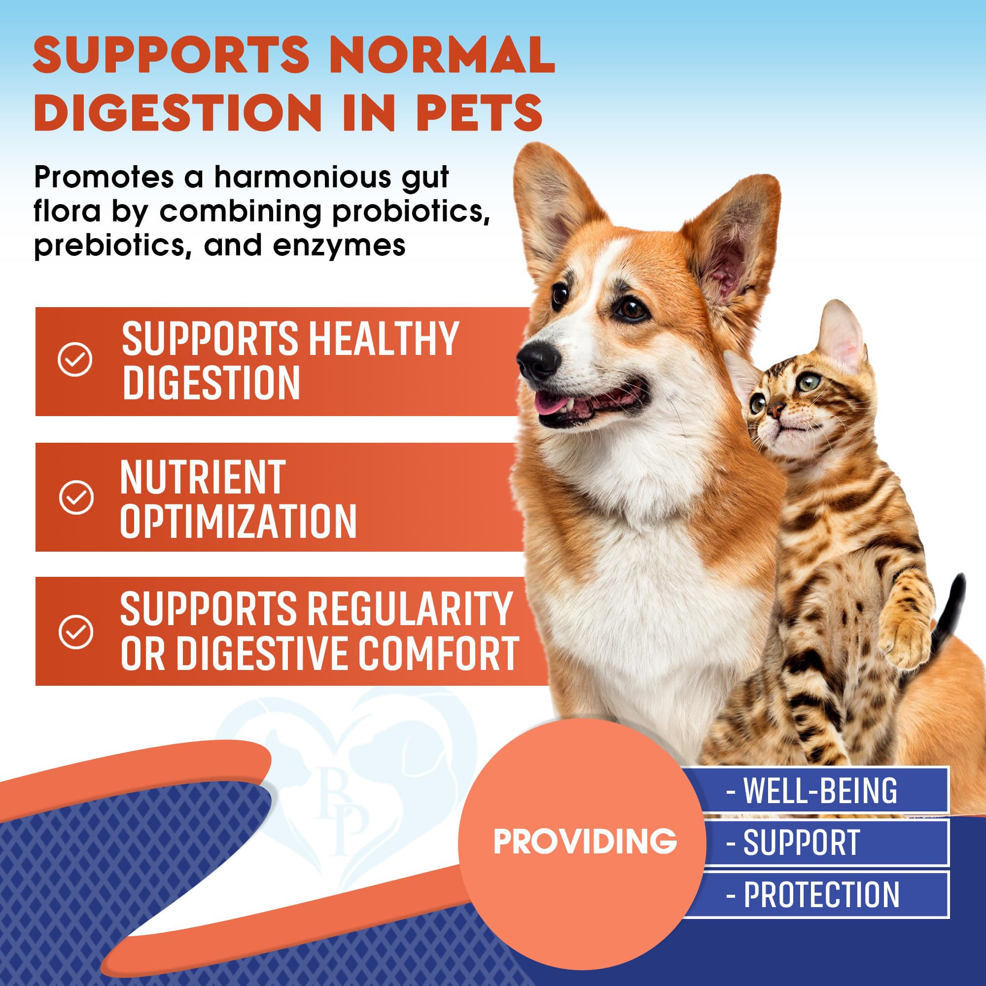 Beloved Pets probiotics enzymes liquid label suggests daily gut support for happy tummies.