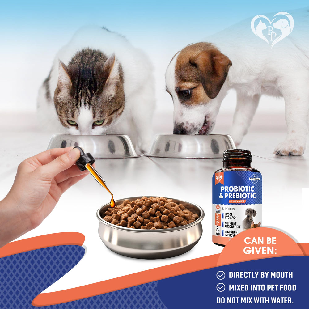 Beloved Pets liquid dropper close-up highlights a mess-free way to supplement digestion.