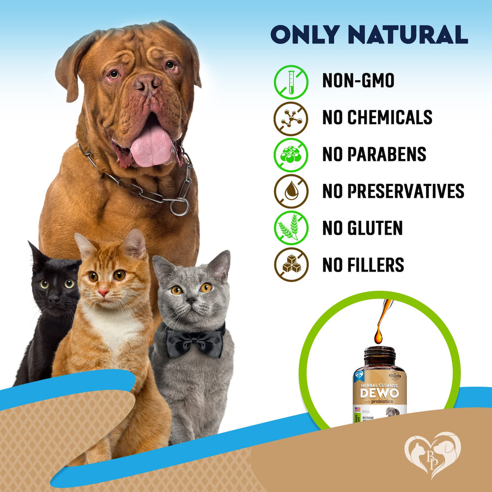 Beloved Pets puppy and kitten friendly formula suits young pets.