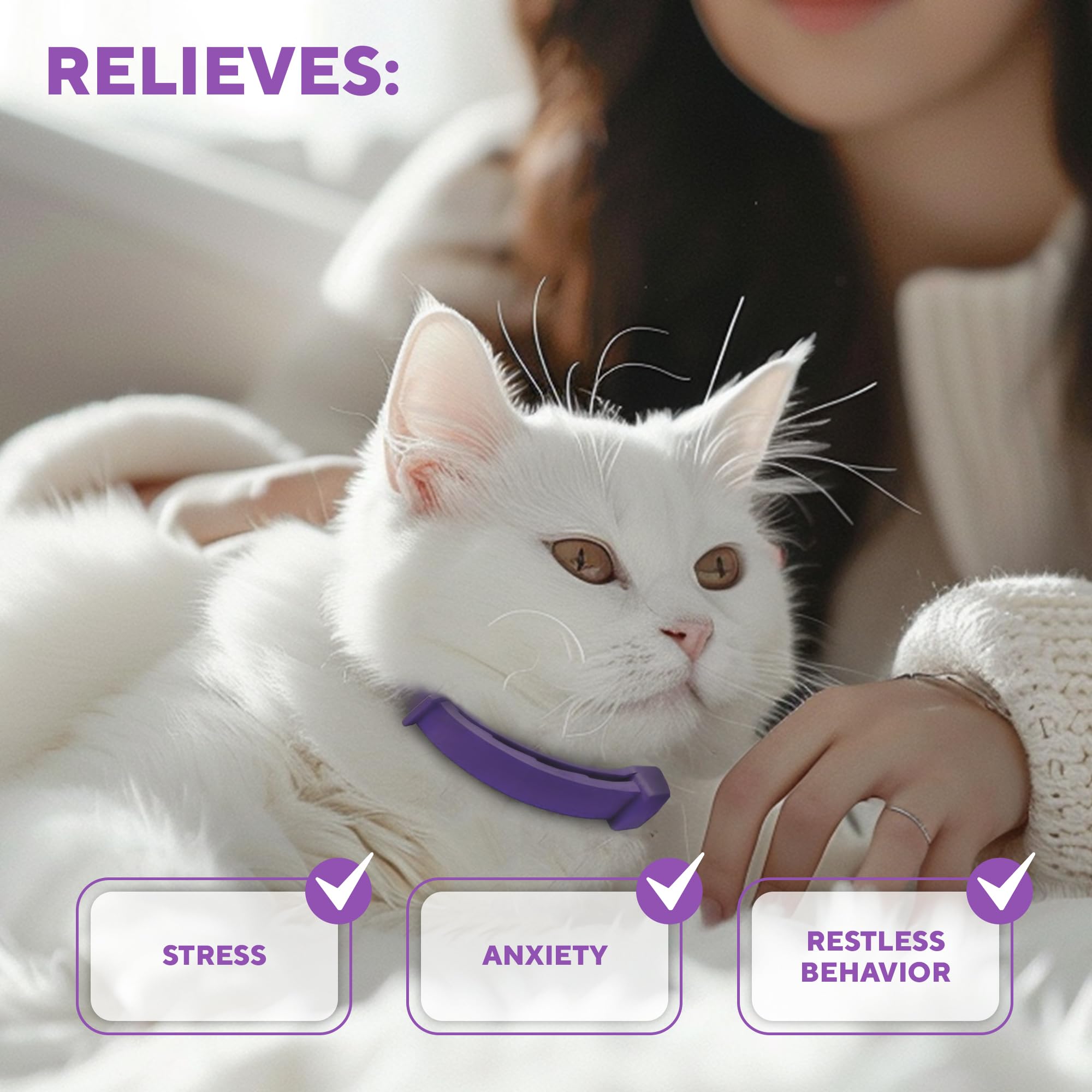 Beloved Pets relaxed-cat-sleep scene suggests calmer nights after wearing collar.