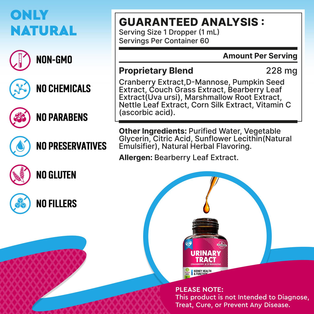 Beloved Pets renal-kidney health scene — visualizing overall urinary wellness for pets.