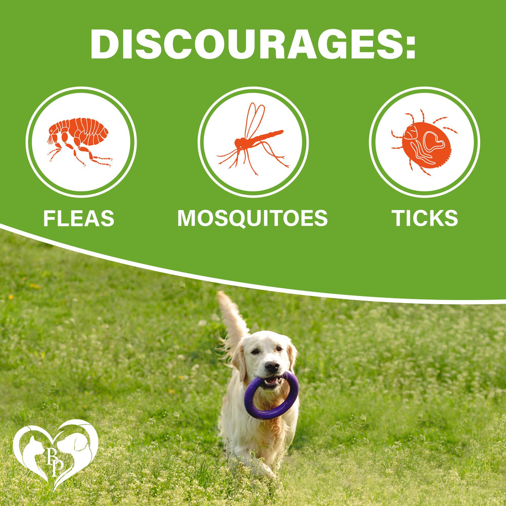Beloved Pets Revolution dosing chart image highlighting weight-based serving recommendations.