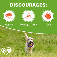 Beloved Pets Revolution dosing chart image highlighting weight-based serving recommendations.
