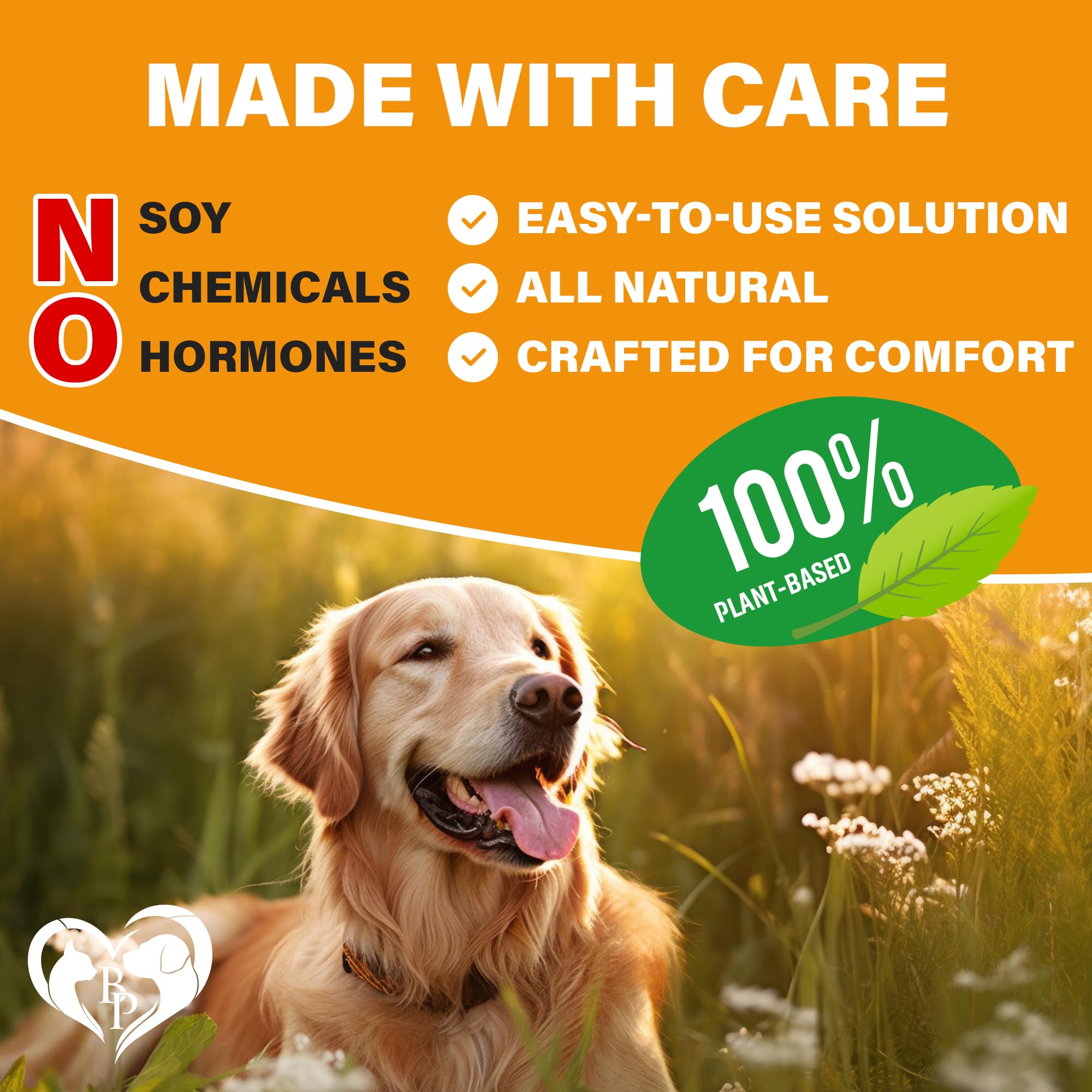 Beloved Pets skin coat and immune support image highlights vitality and coat health.