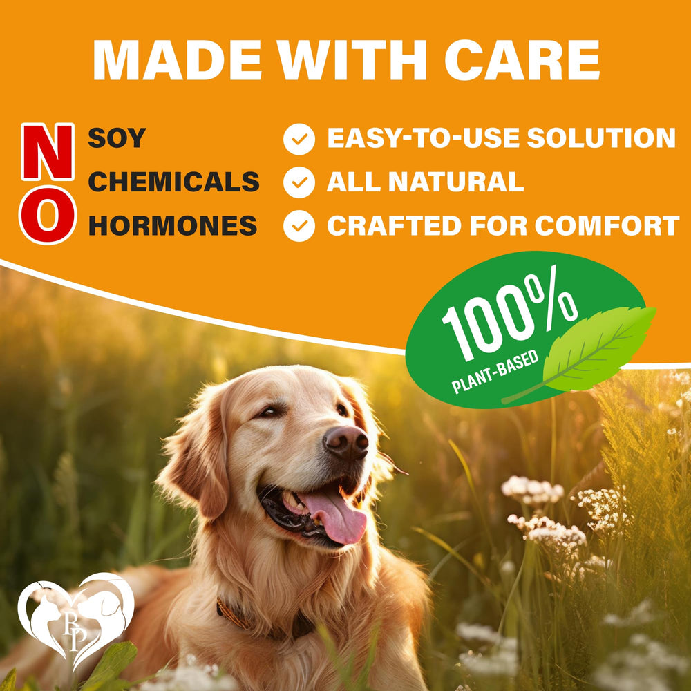 Beloved Pets skin coat and immune support image highlights vitality and coat health.