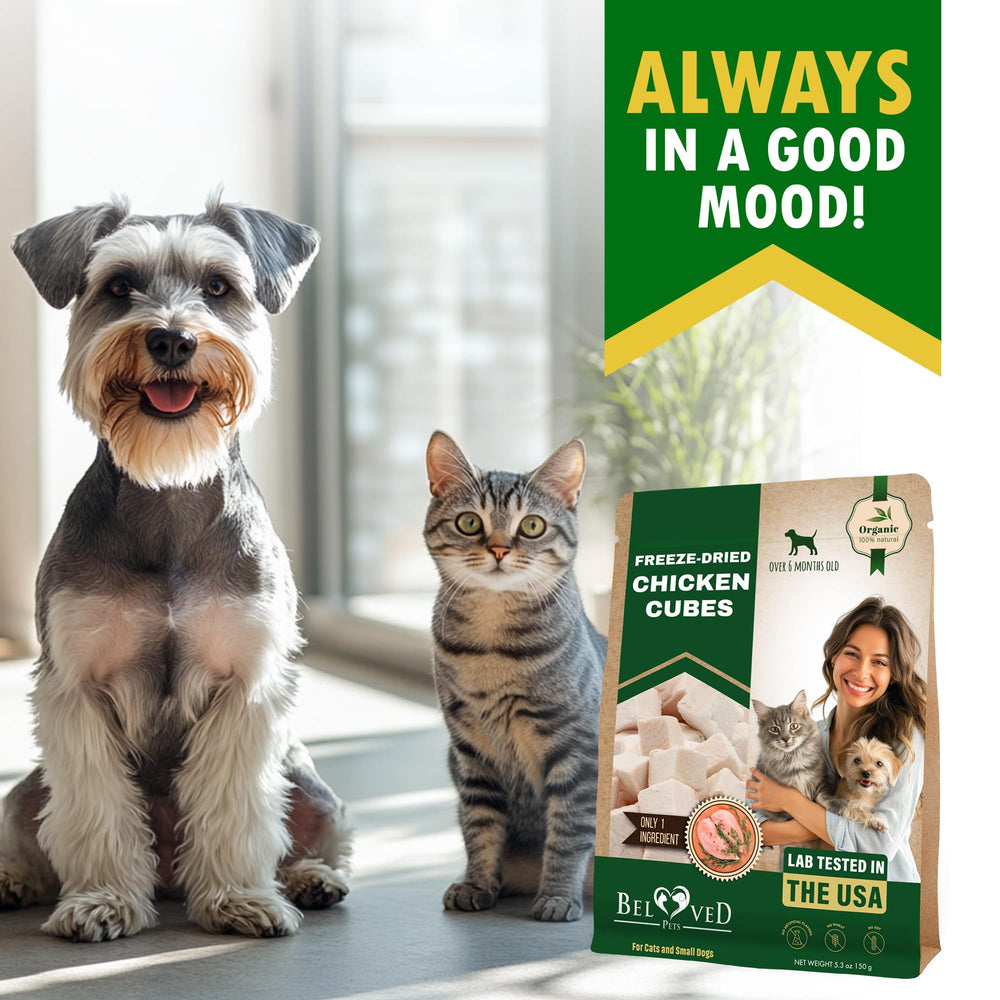 Beloved Pets snack portátil: snack fácil de llevar para paseos.