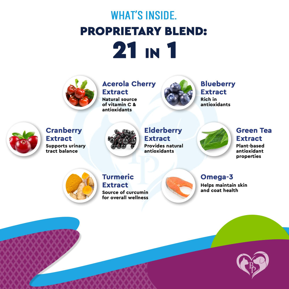 Beloved Pets USA-made vitamin liquid bottle emphasizes natural ingredients and quality manufacturing.