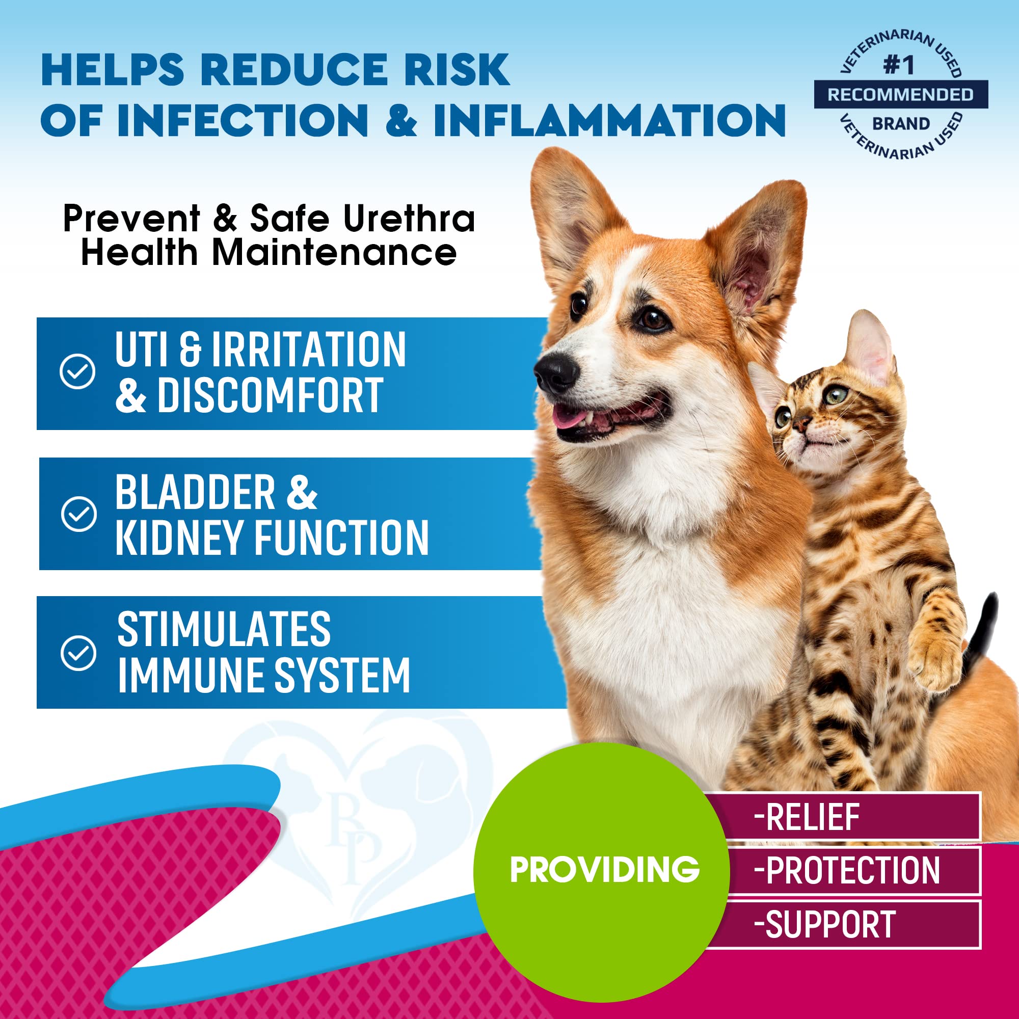 Beloved Pets UTI dropper shows easy daily dosing for pets.