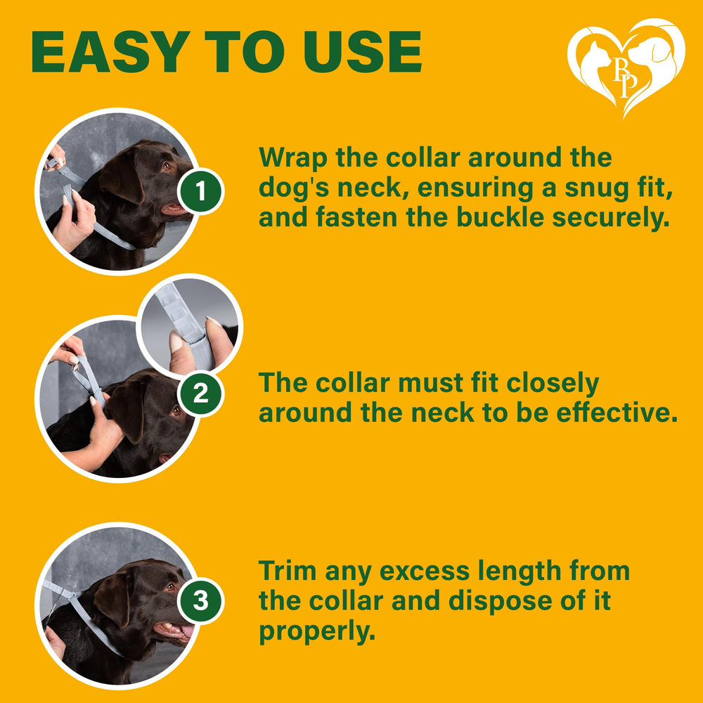 Vet-approved Beloved Pets flea collar for dogs.
