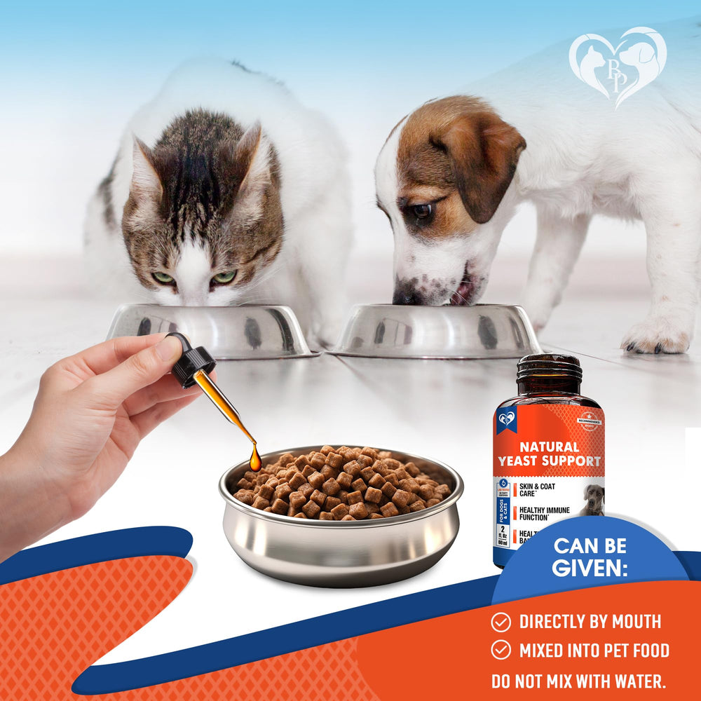 Beloved Pets yeast-infection-relief cat-skin-care close-up shows soothing herbal relief for irritated skin.